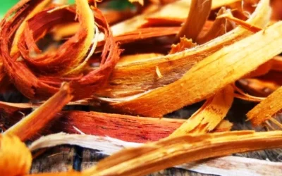 Manfaat Kayu Secang Untuk Kecantikan dan Perawatan Kulit