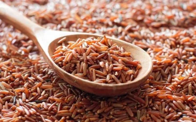 Cara Cepat Turunkan Berat Badan Dengan Beras Merah