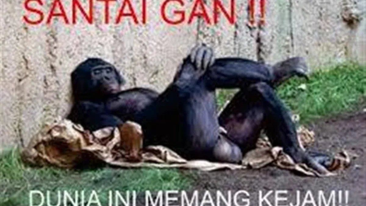 Update Kumpulan DP BBM Lucu Dan Gokil Bikin Ngakak Terbaru Juni 2026