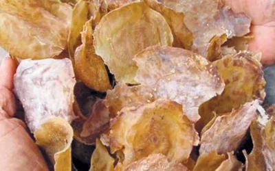 Cara Membuat Emping Jengkol Mantap, Pedasnya Nendang Banget