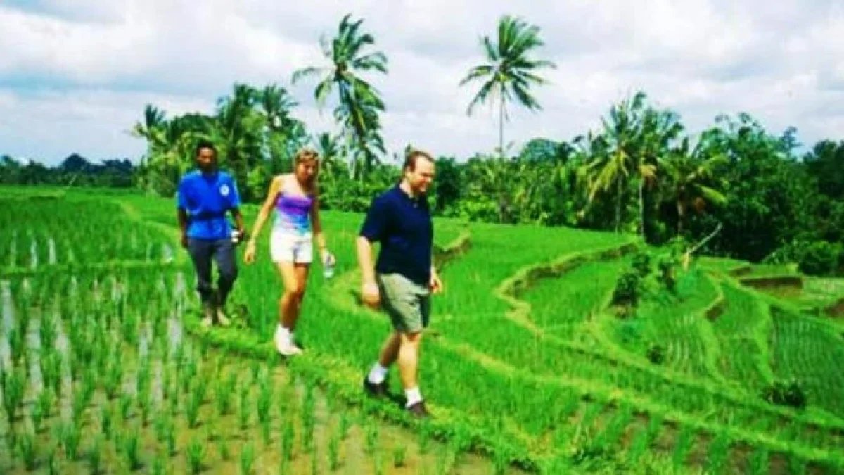 Puisi Tentang Alam Pedesaan Yang Natural