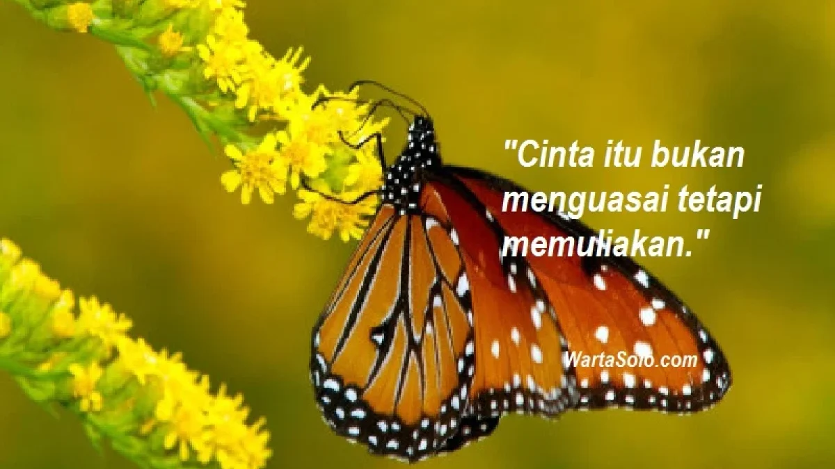 Aneka Status Facebook Terbaru yang Bijak Pendek, Untaian Mutiara Whatsapp dan Media Sosial Lainnya