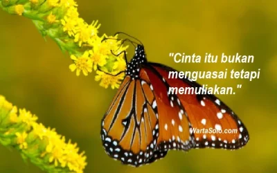 Aneka Status Facebook Terbaru yang Bijak Pendek, Untaian Mutiara Whatsapp dan Media Sosial Lainnya