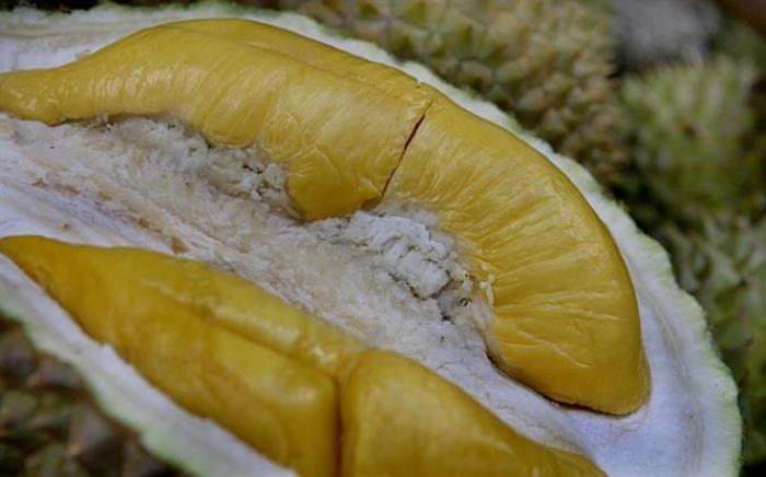 Cara Memilih Durian Yang Manis dan Berdaging Tebal