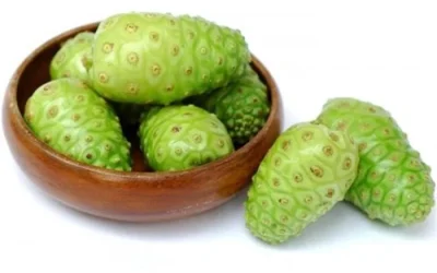 Manfaat Mengkonsumsi Buah Mengkudu