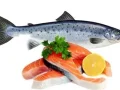 Perbedaan Ikan Kembung dan Ikan Salmon