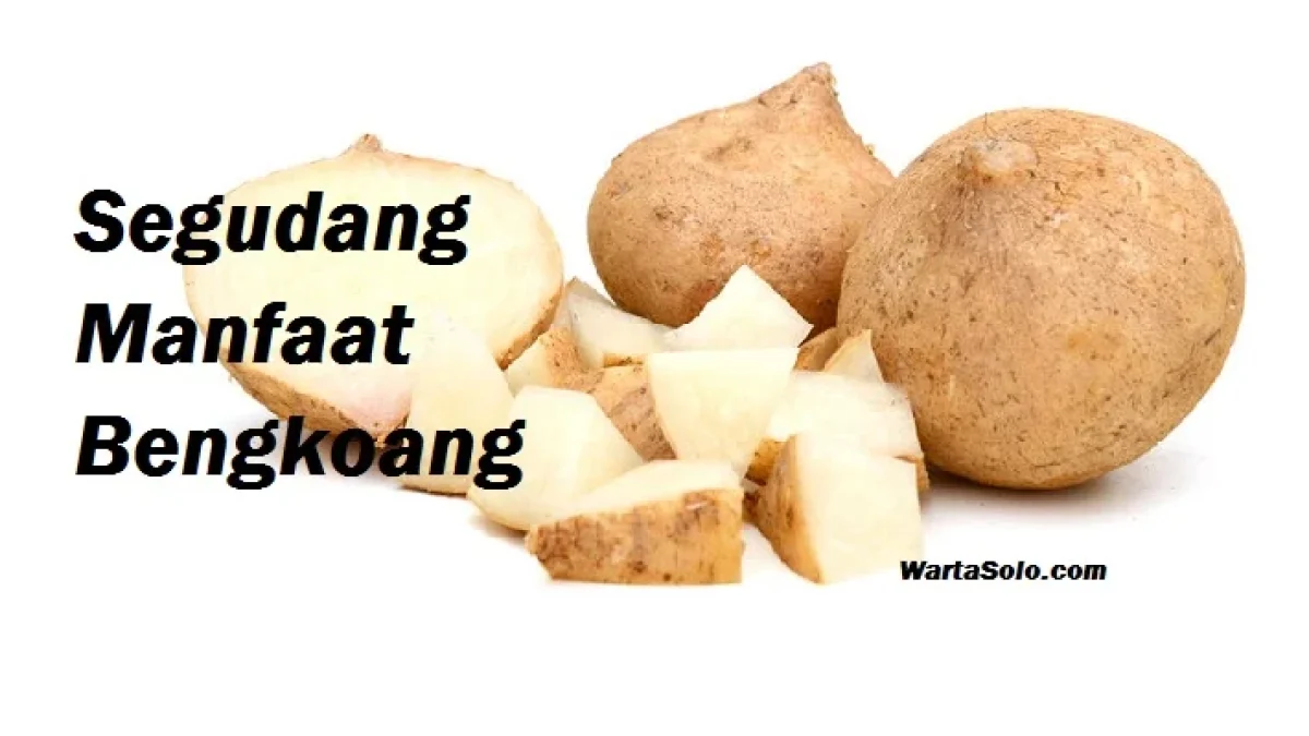 Segudang Manfaat Bengkoang Untuk Kecantikan dan Kesehatan, Mencerahkan Kulit Hingga Kurangi Asam Lambung