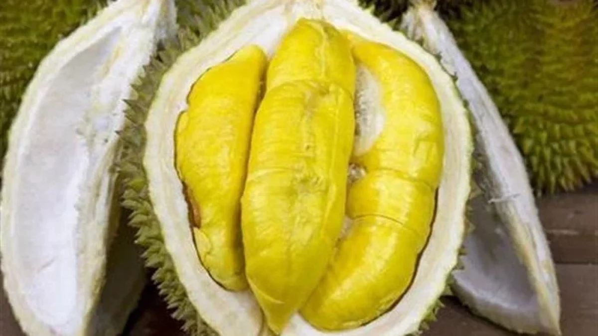 Tips Menghilangkan Sakit Kepala Setelah Makan Durian