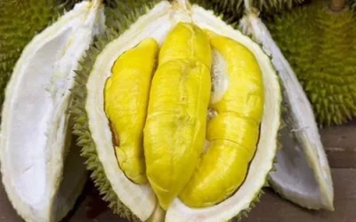 Tips Menghilangkan Sakit Kepala Setelah Makan Durian