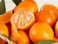 10 Buah dan Sayur Warna Orange Yang Memiliki Kandungan Vitamin C Sangat Tinggi