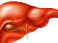Cara Menjaga Kesehatan HATI /LIVER dengan Langkah Mudah dan Sederhana