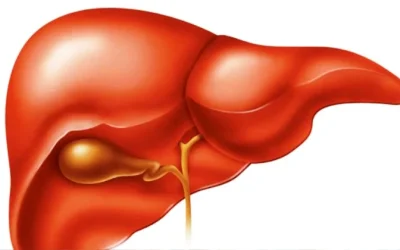 Cara Menjaga Kesehatan HATI /LIVER dengan Langkah Mudah dan Sederhana