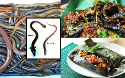 Resep dan Cara Membuat Pepes Belut, Benar-benar Maknyus