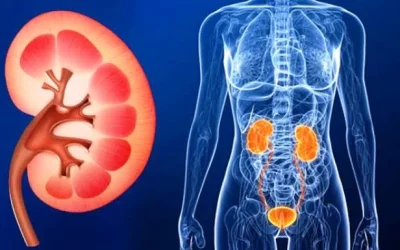 5 Cara Menjaga Kesehatan Ginjal Secara Sederhana Paling Ampuh
