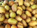 Khasiat dan Manfaat Buah Kemang untuk Kesehatan Tubuh