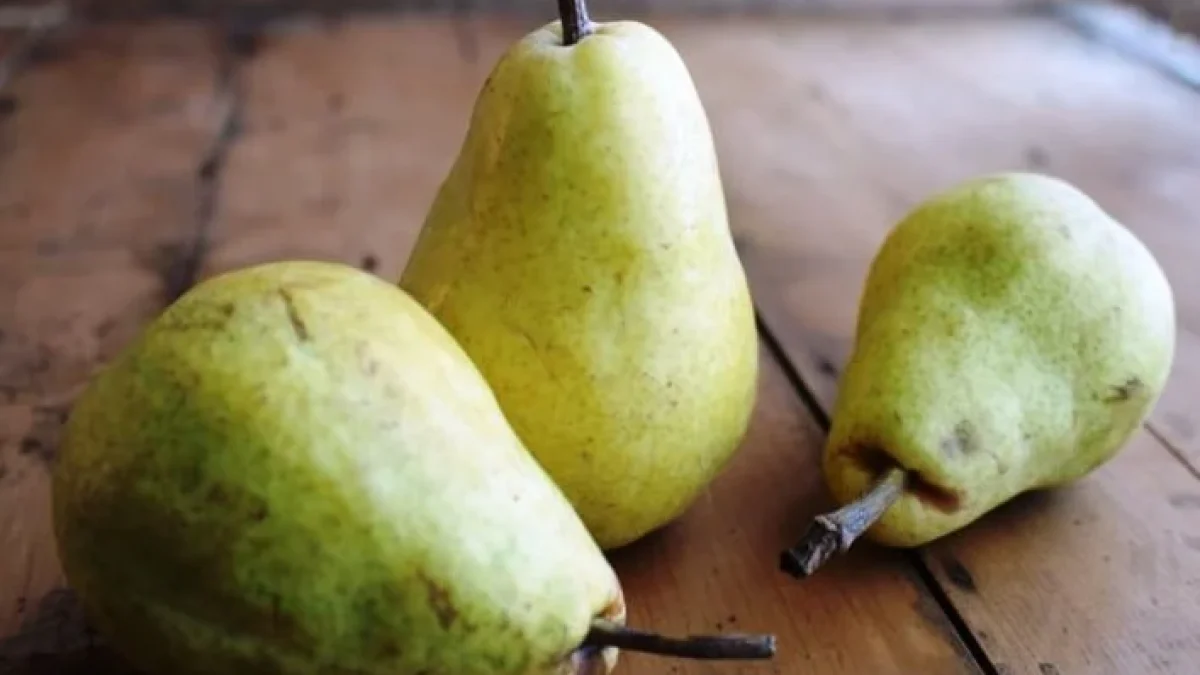 Manfaat Buah Pir untuk Ibu Hamil dan Kecantikan