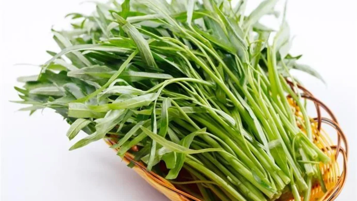 6 Manfaat dan Khasiat Kangkung Bagi Kesehatan