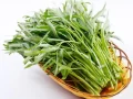 6 Manfaat dan Khasiat Kangkung Bagi Kesehatan