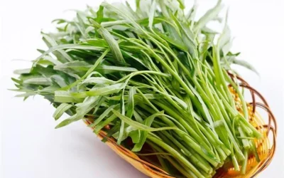 6 Manfaat dan Khasiat Kangkung Bagi Kesehatan