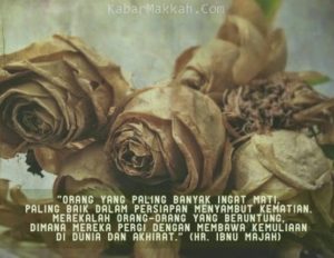 Aneka Dp Kata Bijak Tahun Ini