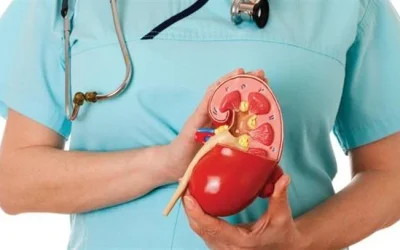 Makanan Penguat Ginjal Yang Wajib Anda Konsumsi
