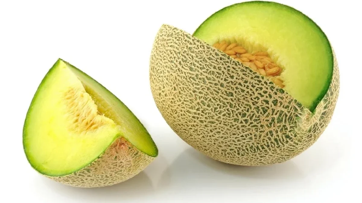 Harga Buah Melon Terbaru Juni 2026