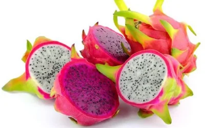 Harga Buah Naga Terbaru Juni 2026