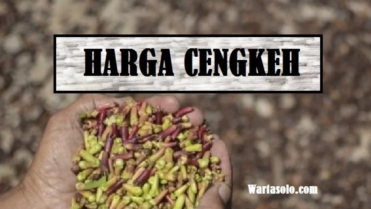 Harga Cengkeh Terbaru Juni 2026