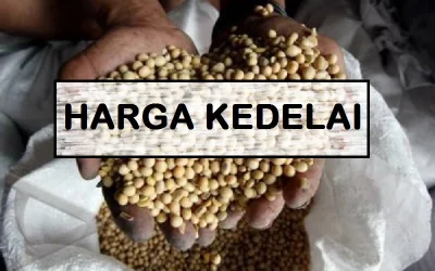 Harga Kedelai Terbaru Juni 2026: Price List Bahan Jenis Hitam, Putih, Impor, Organik