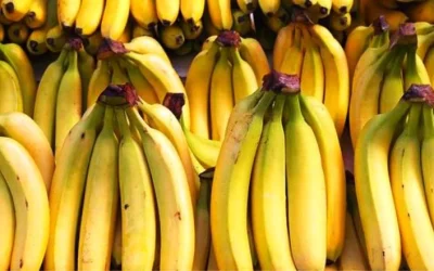 Daftar Harga Pisang Terbaru Juni 2026