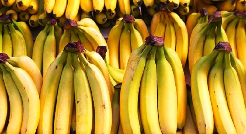 Harga Pisang Per Tandan Hari Ini