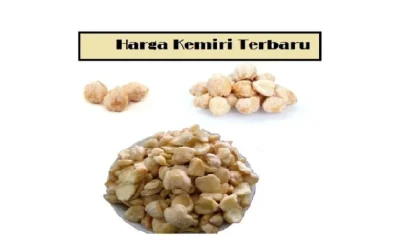 Harga Kemiri Per KG Terbaru Juni 2026