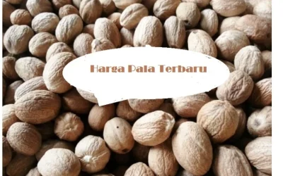Harga Pala Terbaru Juni 2026