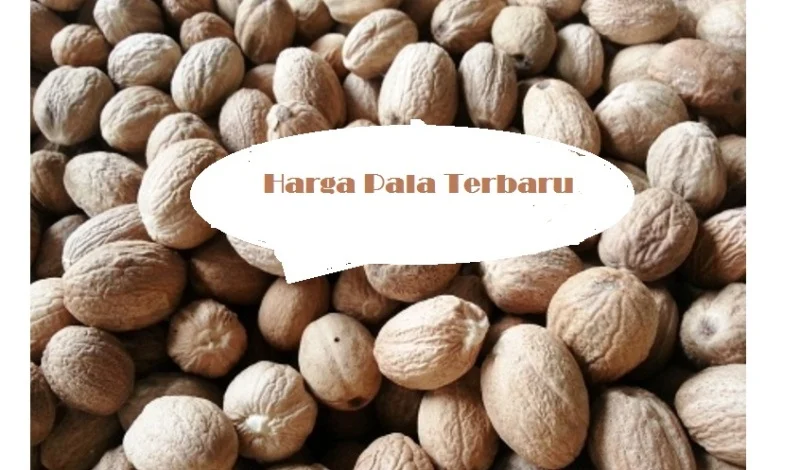 Harga Pala Terbaru Juni 2026