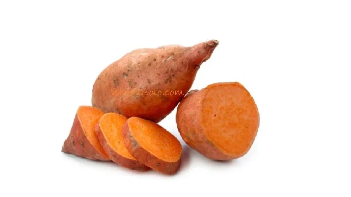 Daftar Harga Ubi Jalar per Kg Terbaru Juni 2026