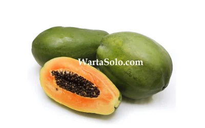 Harga Buah Pepaya Terbaru Juni 2026