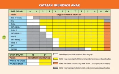 Jadwal Imunisasi Bayi Usia 0-18 Bulan Terbaru