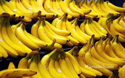 Harga Pisang Ambon Terbaru Juni 2026