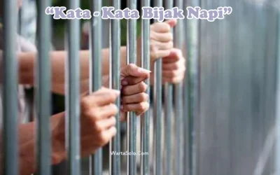 Kata Kata Bijak Napi dalam Menjalani Hidup Tanpa Harapan Pasti