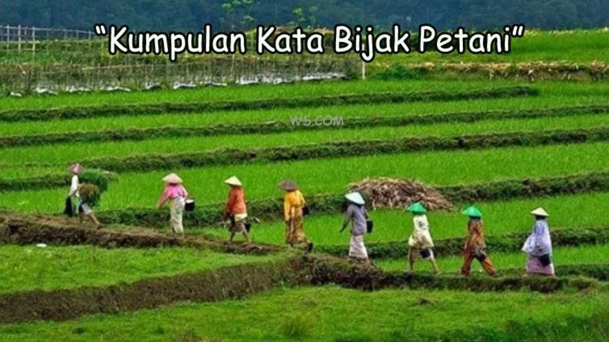 Kumpulan Kata Bijak Petani Sukses Penuh Makna