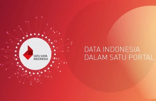 Seluk Beluk Satu Data Indonesia yang Perlu Anda Ketahui