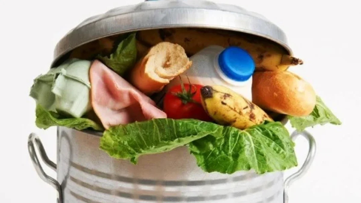 Mengenal Jenis Sampah Rumah Tangga, Dampak, dan Cara Pengelolaannya