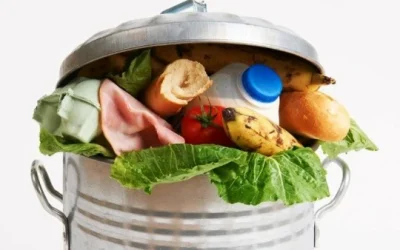 Mengenal Jenis Sampah Rumah Tangga, Dampak, dan Cara Pengelolaannya