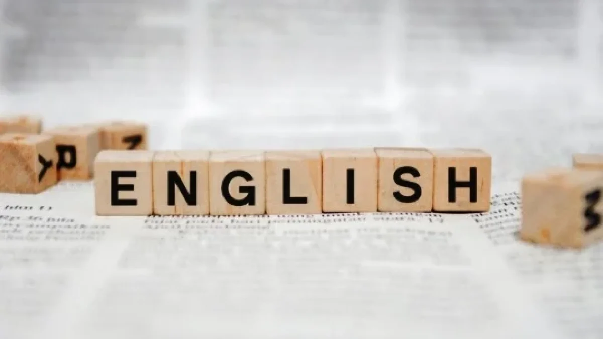 Perbedaan Collocation dan Slang Word