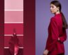 Inilah Jenis jenis Warna yang Cocok Dipadukan Dengan Burgundy
