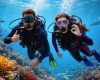 Kegiatan Wisata di Bali untuk Pengalaman Tak Terlupakan