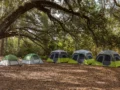 Rekomendasi Tempat Camping Keluarga Terbaik dengan Pemandangan Alam