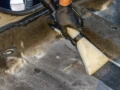 Tips Merawat Interior Mobil agar Selalu Bersih dan Segar